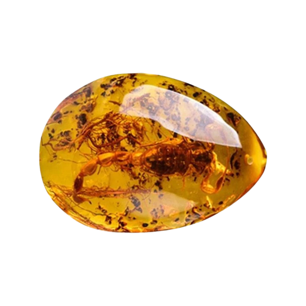 Vaidik Jyotish Anusandhan Kendra, site icon, favicon, Astrology, Horoscope, Horoscope today, zodiac sign, Kundali, birth chart, astrology india, astrology signs, Gemstone