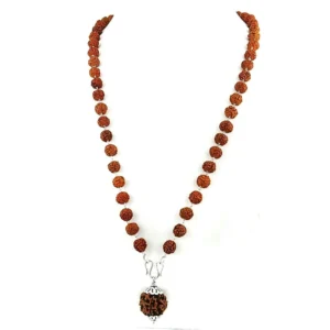 5 Mukhi Rudraksha Mala With 108 beads