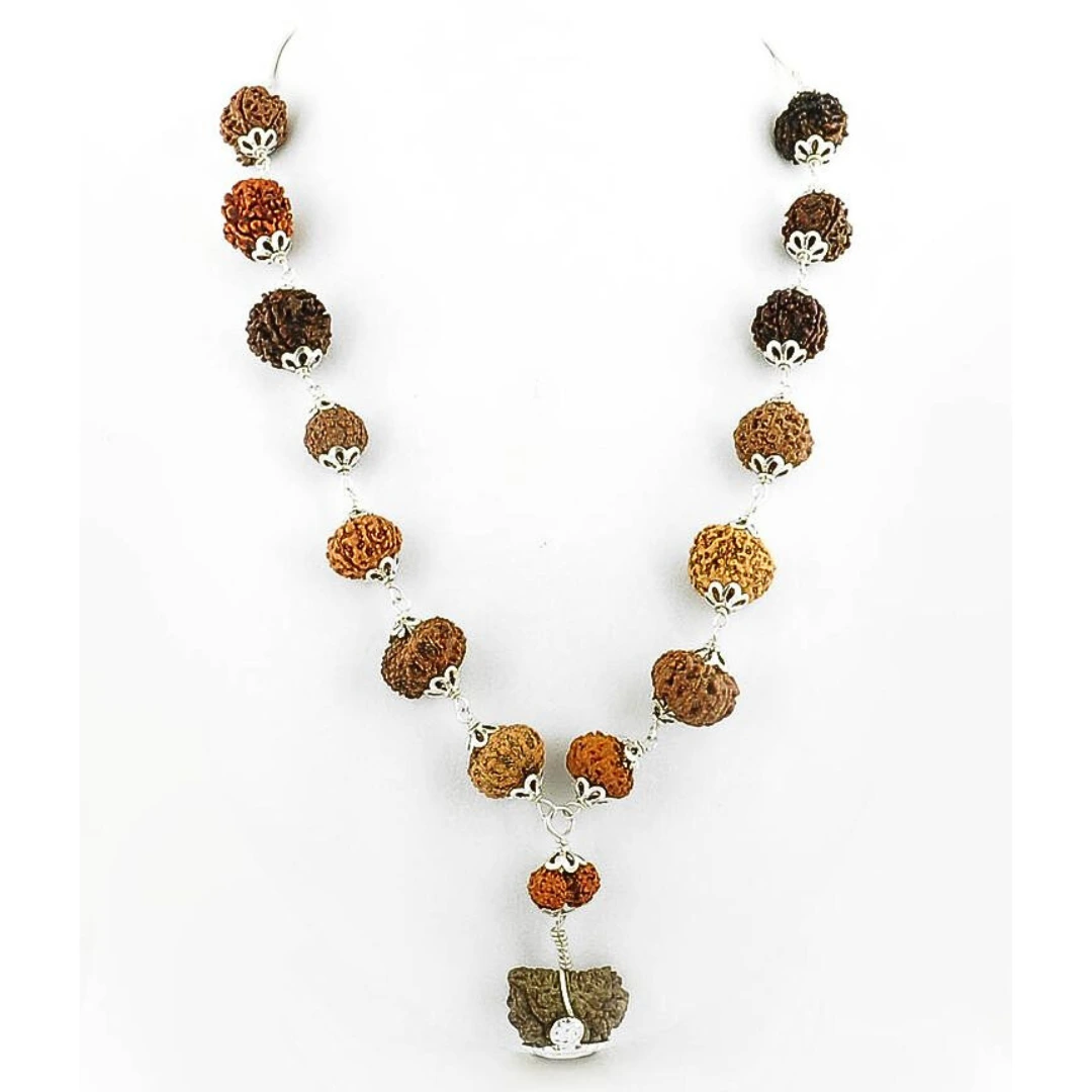 1 to 14 mukhi Rudraksha Mala