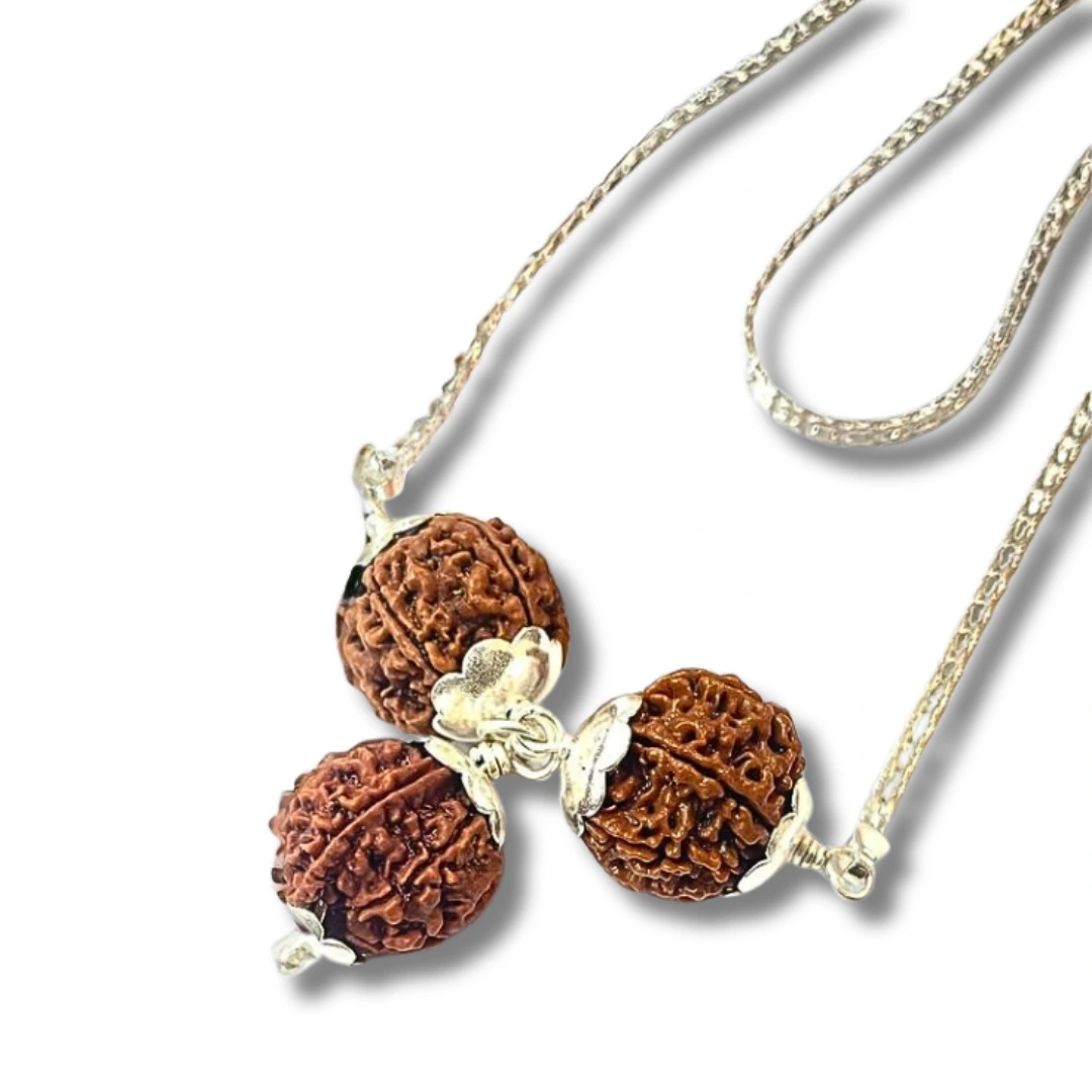5 mukhi Rudraksha Pnedant