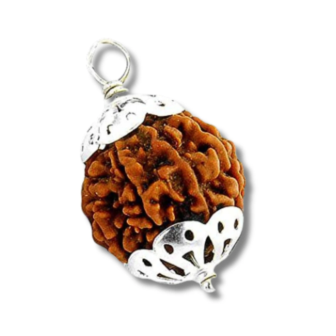 7 Mukhi Rudraksha Pendant