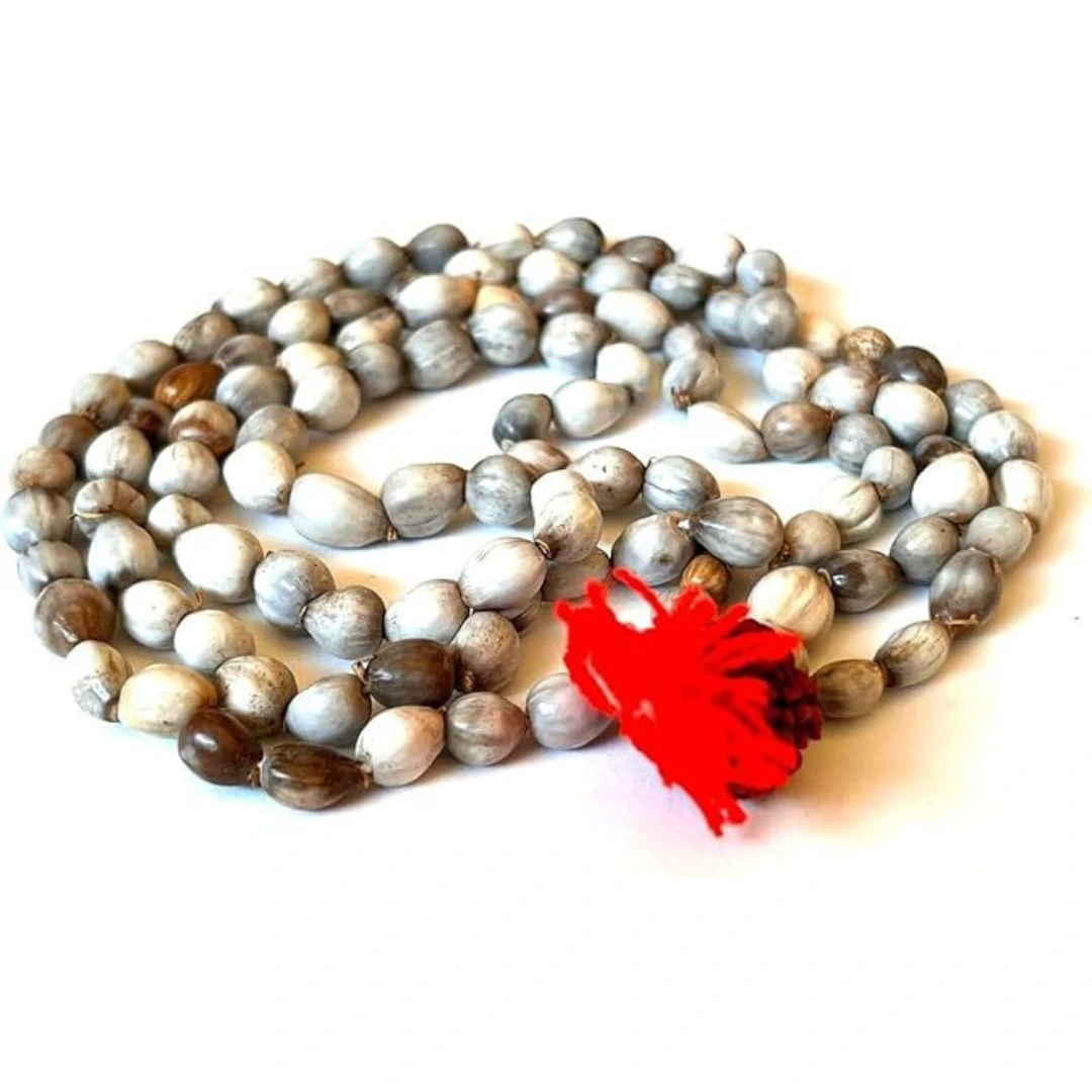 vaidik Jyotish Anusandhan Kendra, site icon, favicon, Astrology, Horoscope, Horoscope today, zodiac sign, Kundali, birth chart, astrology india, astrology signs,White vaijanti mala
