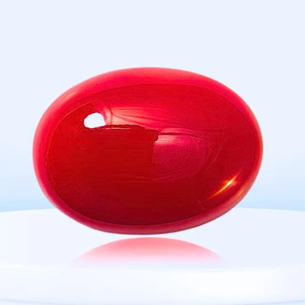 मूंगा (Moonga – Red Coral)
